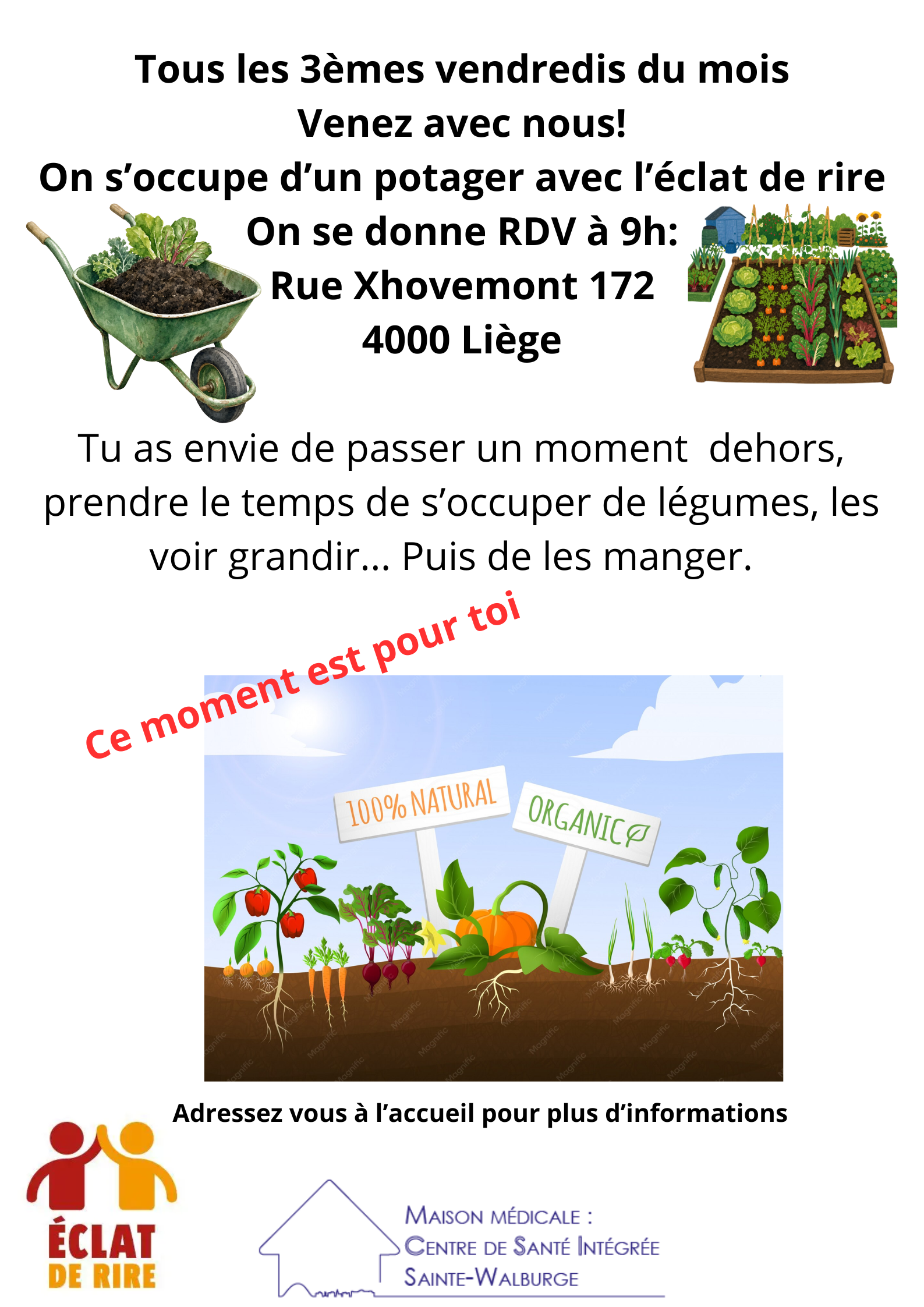 Potager communautaire
